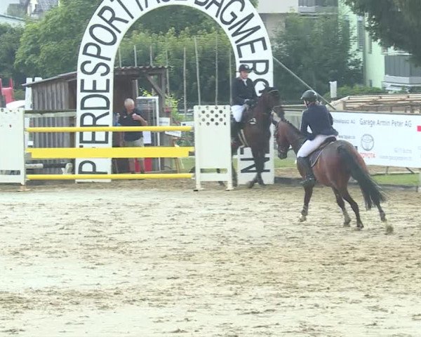 Reitturnier Dagmersellen 2019