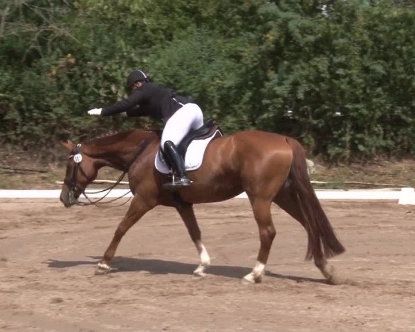 Reitturnier Kleinostheim/Ufr. 2019