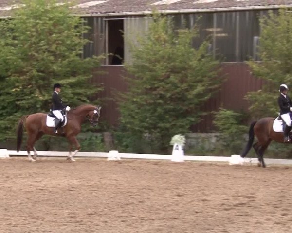 Reitturnier Kleinostheim/Ufr. 2019