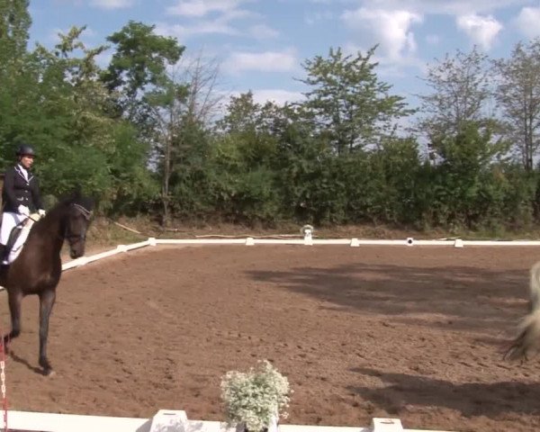 Reitturnier Kleinostheim/Ufr. 2019