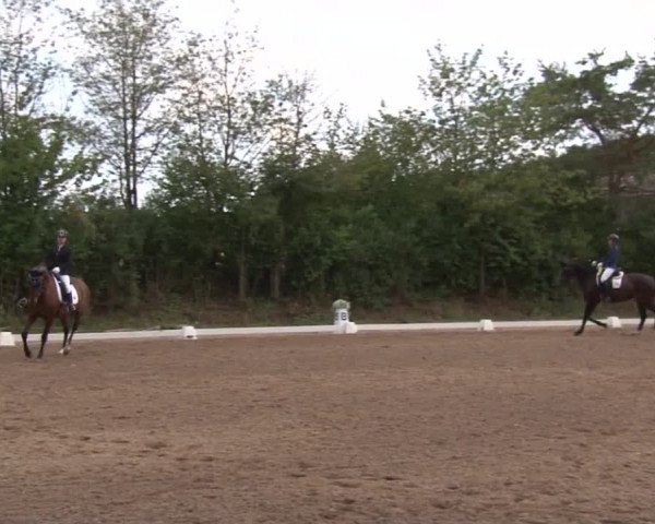 Reitturnier Kleinostheim/Ufr. 2019