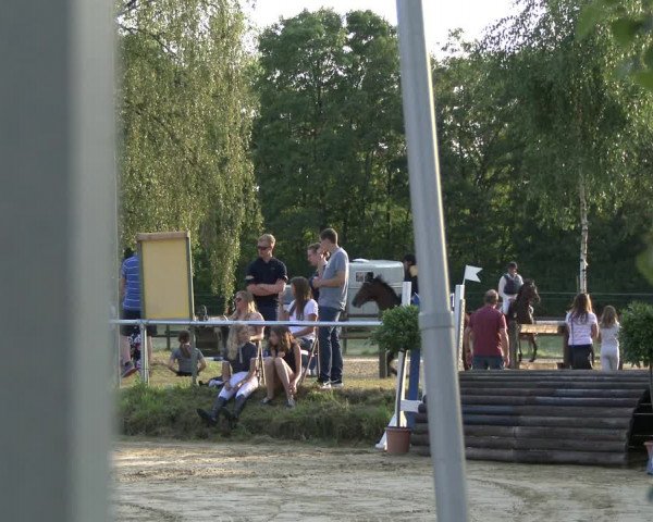 Reitturnier Herbern 2019