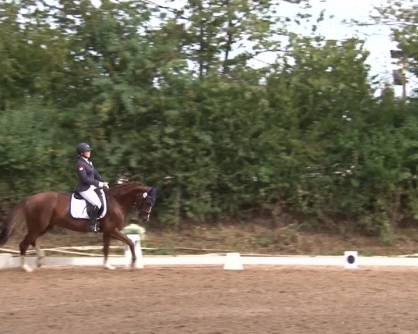 Reitturnier Kleinostheim/Ufr. 2019