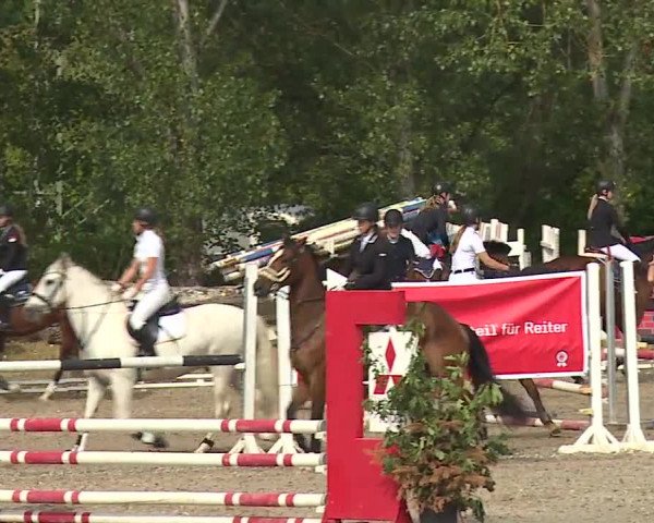 Reitturnier Kleinostheim/Ufr. 2019