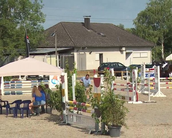 Reitturnier Kleinostheim/Ufr. 2019