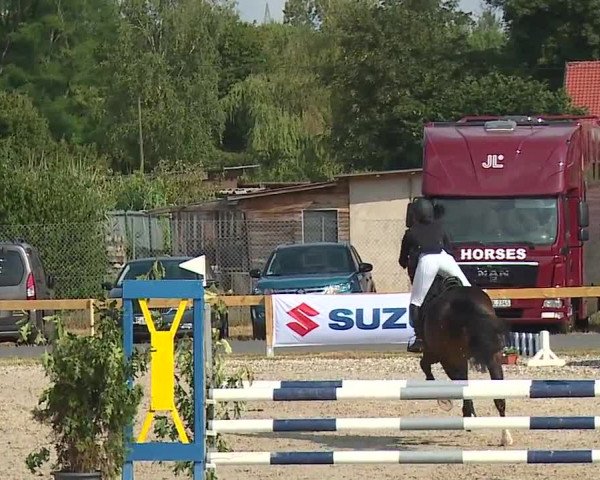 Reitturnier Kleinostheim/Ufr. 2019