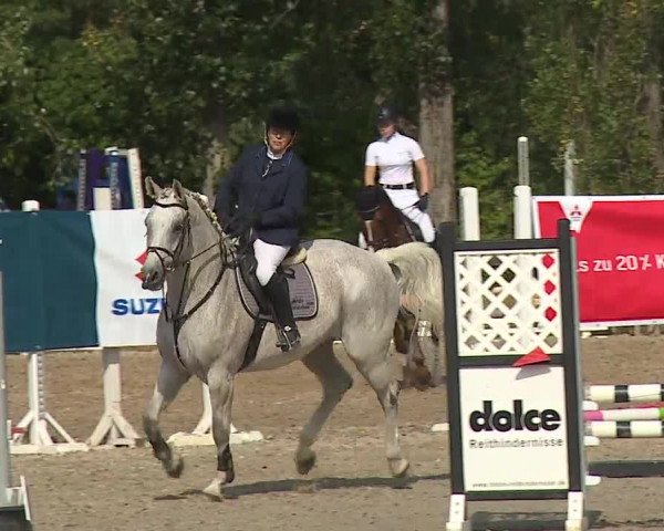 Reitturnier Kleinostheim/Ufr. 2019