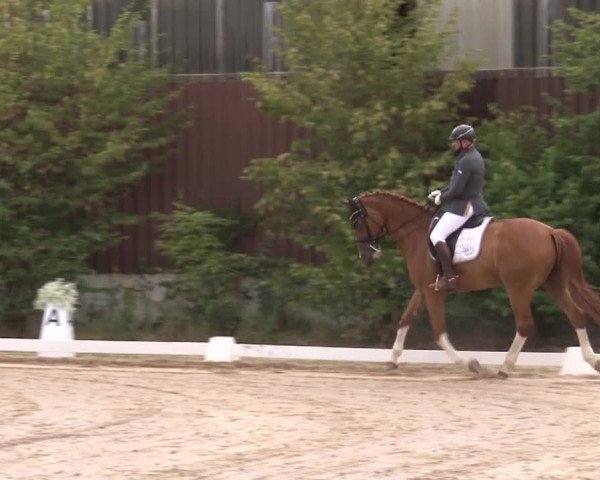 Reitturnier Kleinostheim/Ufr. 2019