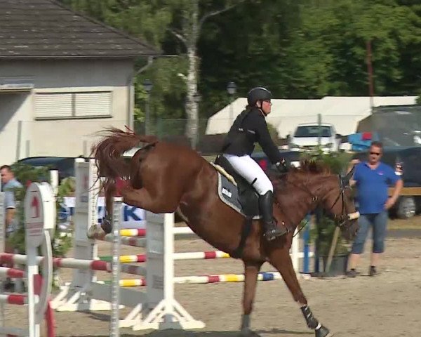 Reitturnier Kleinostheim/Ufr. 2019