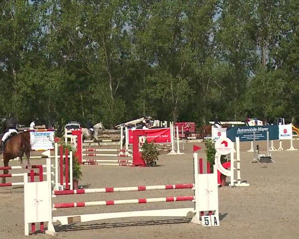 Reitturnier Kleinostheim/Ufr. 2019