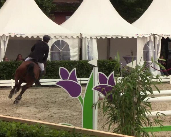 Reitturnier Hörup 2019