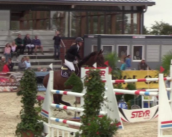 Reitturnier Hörup 2019