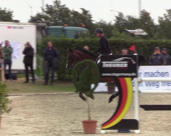 Reitturnier Hörup 2019