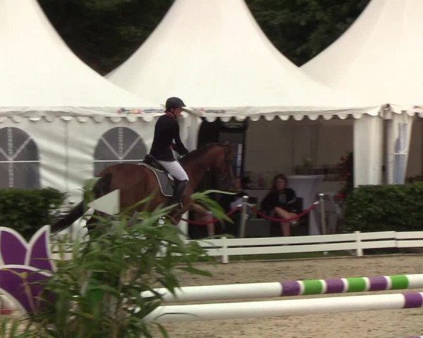 Reitturnier Hörup 2019