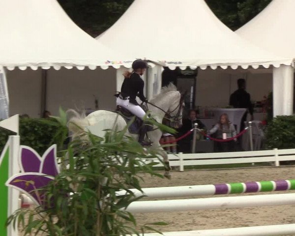 Reitturnier Hörup 2019