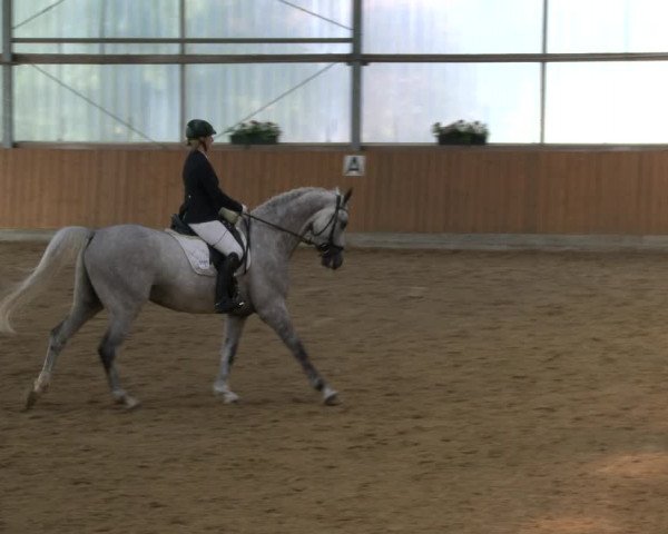 Reitturnier Herbern 2019