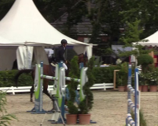 Reitturnier Hörup 2019