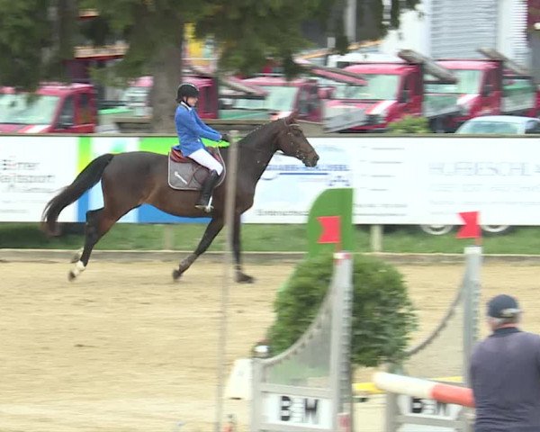 Reitturnier Dagmersellen 2019