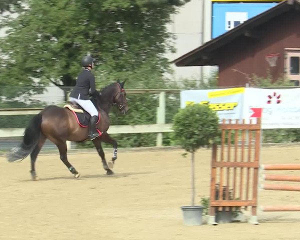 Reitturnier Dagmersellen 2019