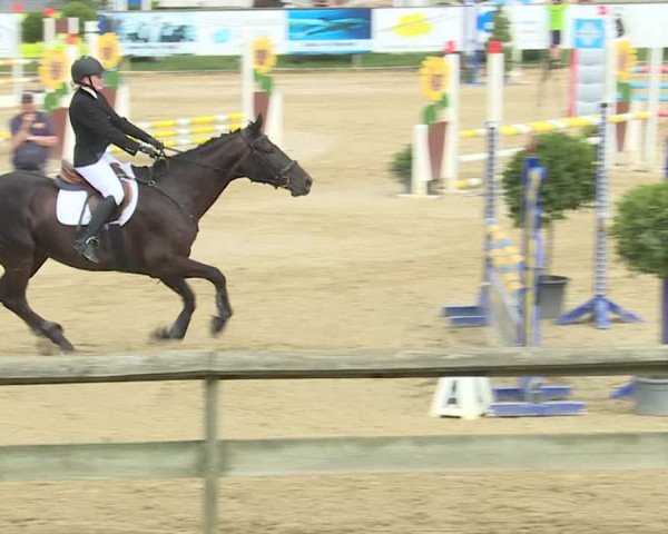 Reitturnier Dagmersellen 2019