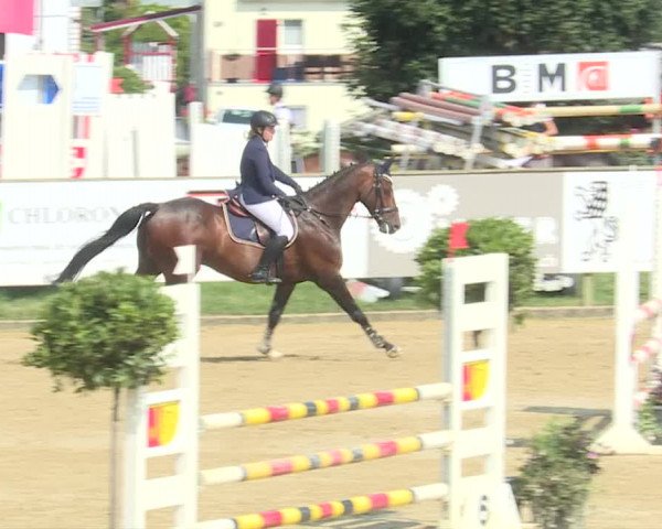 Reitturnier Dagmersellen 2019