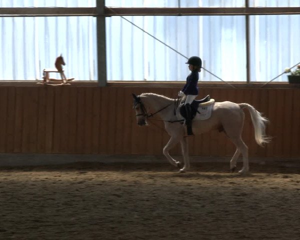 Reitturnier Herbern 2019