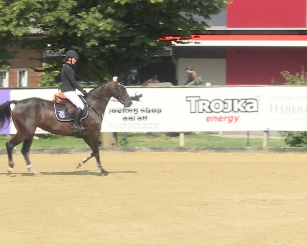 Reitturnier Dagmersellen 2019
