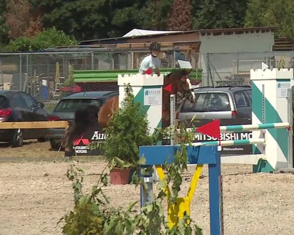 Reitturnier Kleinostheim/Ufr. 2019