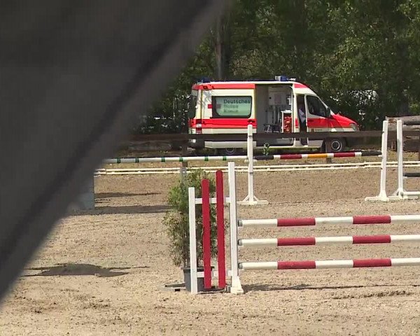 Reitturnier Kleinostheim/Ufr. 2019