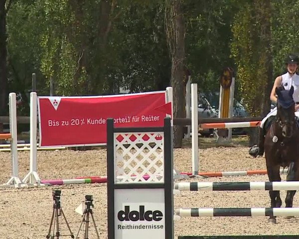Reitturnier Kleinostheim/Ufr. 2019