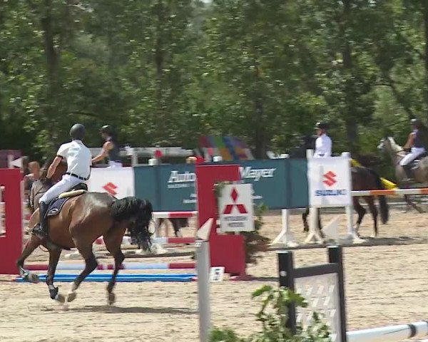 Reitturnier Kleinostheim/Ufr. 2019