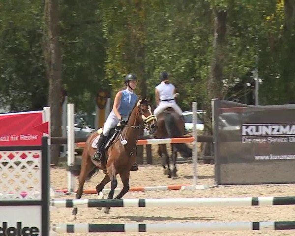 Reitturnier Kleinostheim/Ufr. 2019