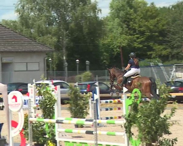 Reitturnier Kleinostheim/Ufr. 2019
