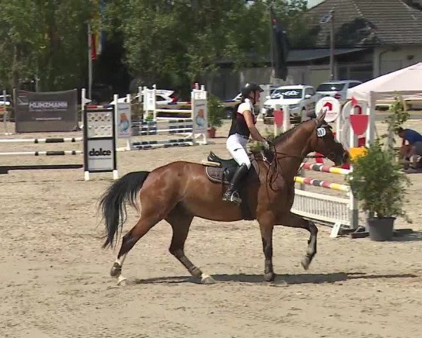 Reitturnier Kleinostheim/Ufr. 2019