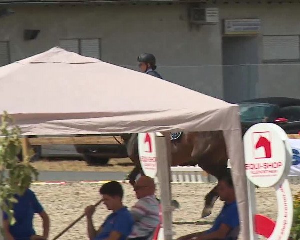 Reitturnier Kleinostheim/Ufr. 2019
