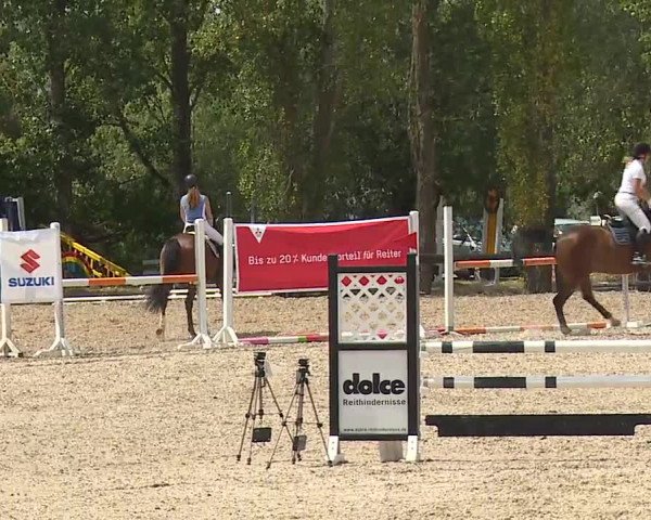 Reitturnier Kleinostheim/Ufr. 2019