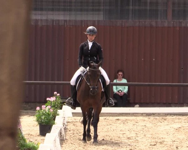 Reitturnier Marienheide-Kempershöhe 2019