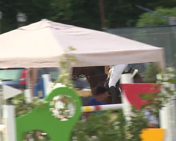 Reitturnier Kleinostheim/Ufr. 2019