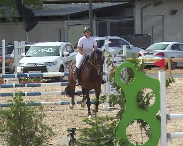 Reitturnier Kleinostheim/Ufr. 2019