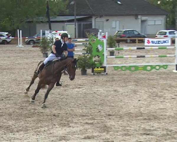 Reitturnier Kleinostheim/Ufr. 2019