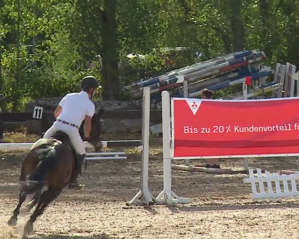 Reitturnier Kleinostheim/Ufr. 2019