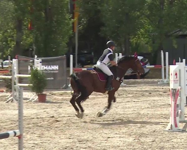 Reitturnier Kleinostheim/Ufr. 2019