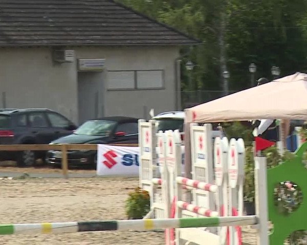 Reitturnier Kleinostheim/Ufr. 2019