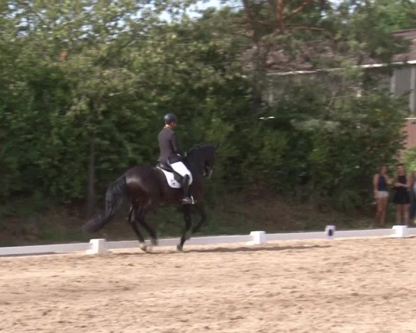 Reitturnier Kleinostheim/Ufr. 2019