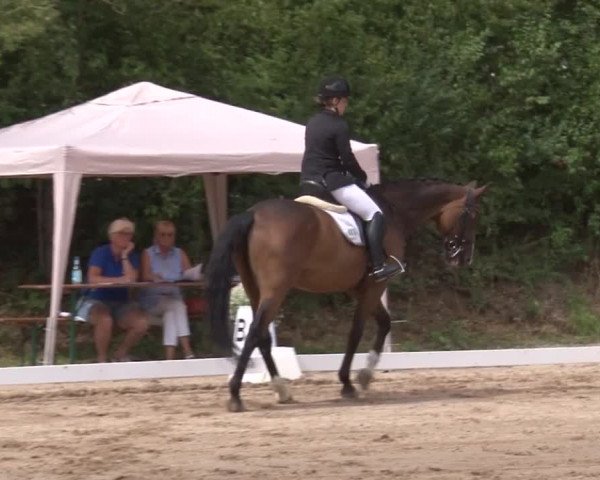 Reitturnier Kleinostheim/Ufr. 2019