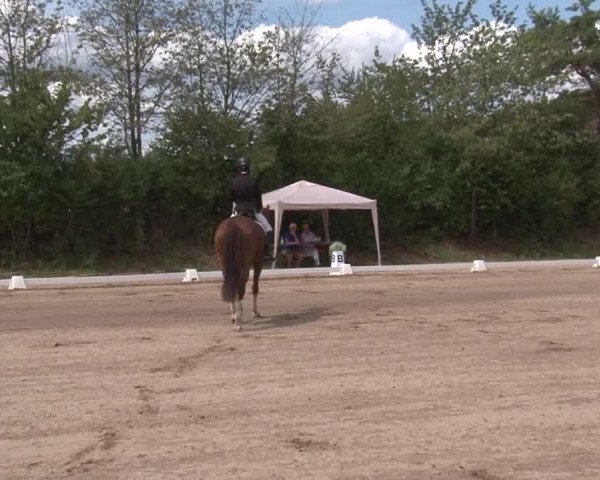Reitturnier Kleinostheim/Ufr. 2019