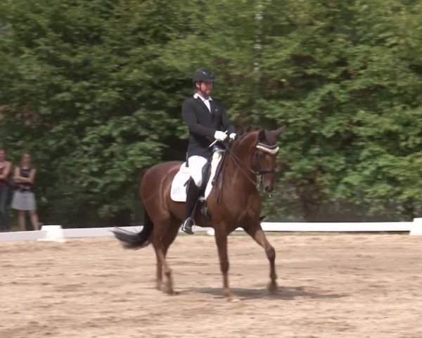 Reitturnier Kleinostheim/Ufr. 2019