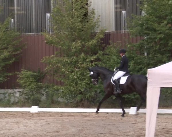Reitturnier Kleinostheim/Ufr. 2019
