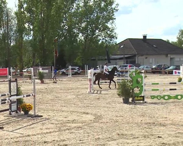 Reitturnier Kleinostheim/Ufr. 2019