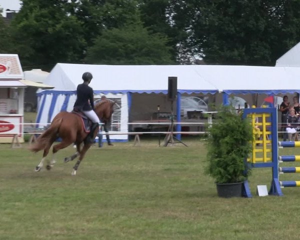 Reitturnier Heide 2019
